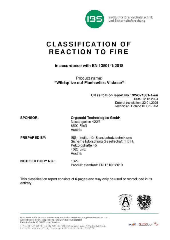 324071501-A-en-Classification-Report.pdf